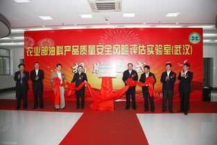 中國農(nóng)業(yè)科學(xué)院油料作物研究所如何高效選擇武漢稅務(wù)代理服務(wù)